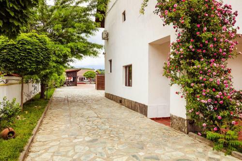 Hotel Pensiunea Iris