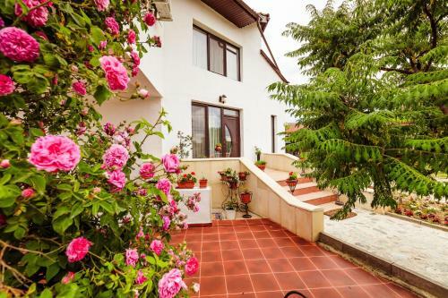Hotel Pensiunea Iris