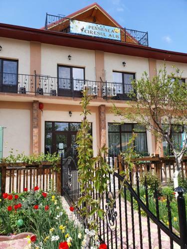 Hostal Pensiunea Cire?ul Alb
