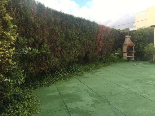 Apartamento Jardim De Moledo
