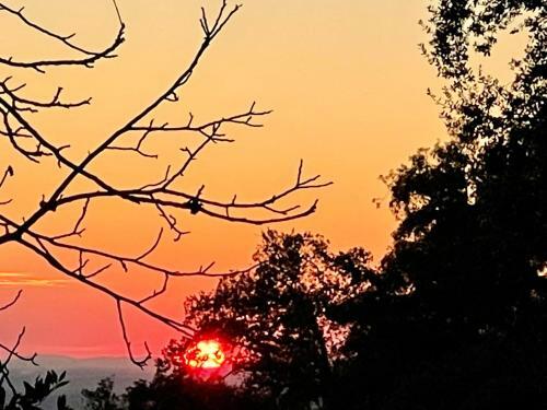 Bed & Breakfast Monsanto - Quinta de S�o Pedro de Vir-a-cor�a