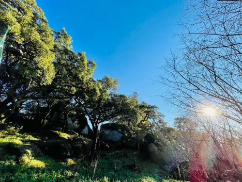 Bed & Breakfast Monsanto - Quinta de S�o Pedro de Vir-a-cor�a