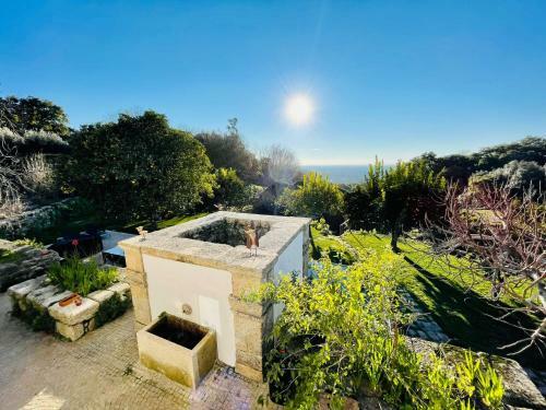 Bed & Breakfast Monsanto - Quinta de S�o Pedro de Vir-a-cor�a
