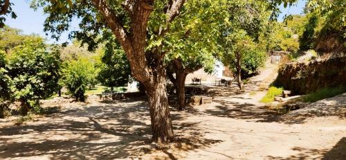 Bed & Breakfast Monsanto - Quinta de S�o Pedro de Vir-a-cor�a