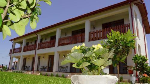 Hostal Casa Baran Vama Veche