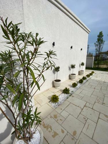 Hostal Ilios Vama Veche Adult Only