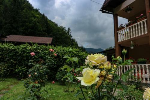 Agroturismo Casa La Danut