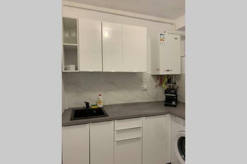 Cozy Studio Apartament Zalau
