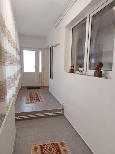 Villa Vila Dor Z?rne?ti