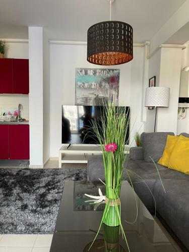 Apartment Happiness By Nicole Jutka, Visual Artist.
