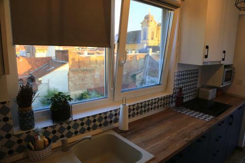 Dominic Apartment Unirii Square