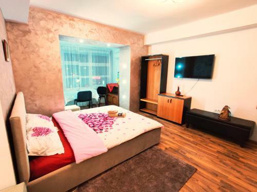 Ultracentral Cathedral Apartament Timisoara
