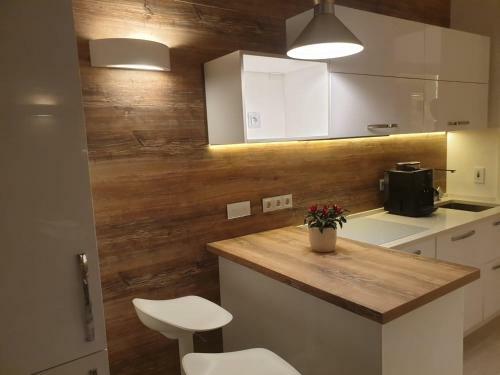 Deluxe Downtown Apartment Timisoara