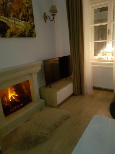 Deluxe Downtown Apartment Timisoara