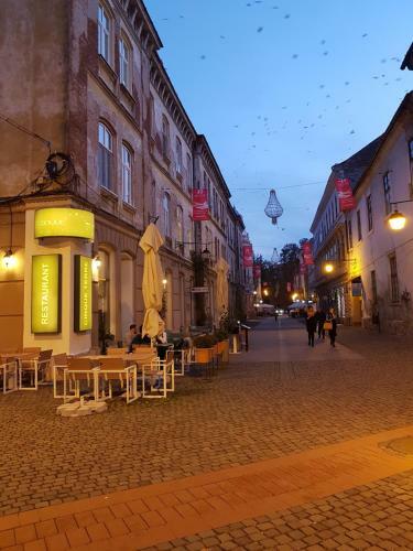 Deluxe Downtown Apartment Timisoara