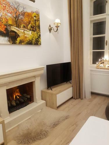 Deluxe Downtown Apartment Timisoara
