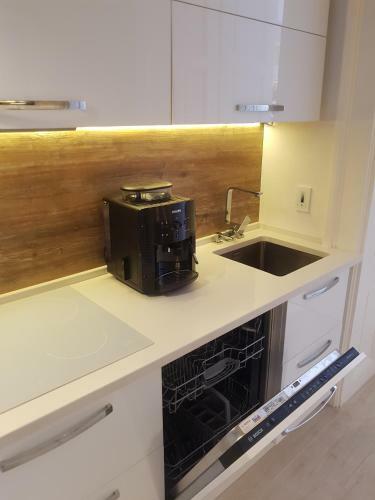 Deluxe Downtown Apartment Timisoara