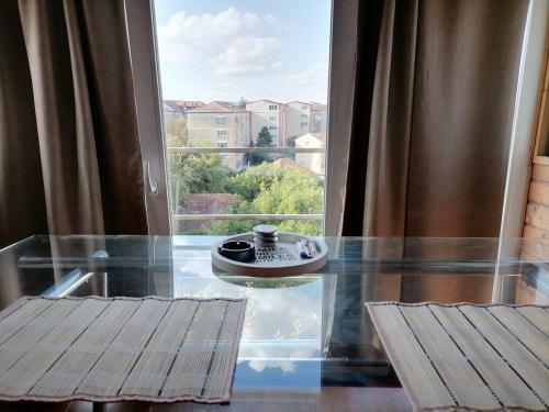 Sagului Shopping City Apartment