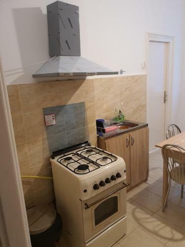 Apartament Enescu