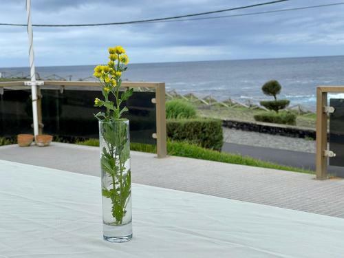 Carpe Diem Azores
