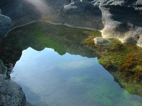 Carpe Diem Azores