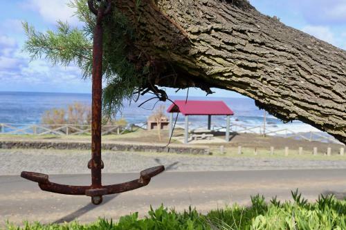 Sea Roots "sea Front Zone"