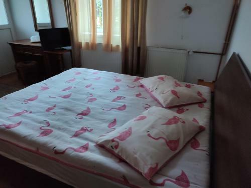 Hostal Vila Brazilor