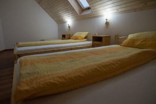 Apartamento Transylvania Kulcsosh�z
