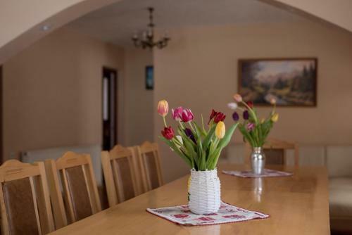 Apartamento Transylvania Kulcsosh�z