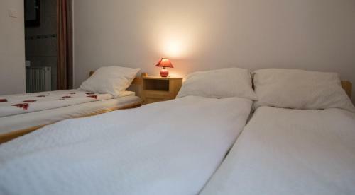 Apartamento Transylvania Kulcsosh�z