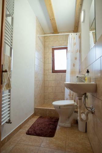 Apartamento Transylvania Kulcsosh�z