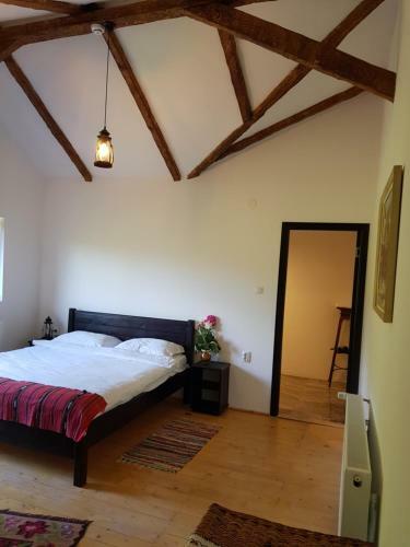 Hostal Satu Muscelean