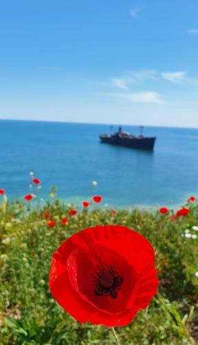 Hostal Black Sea View Costinesti