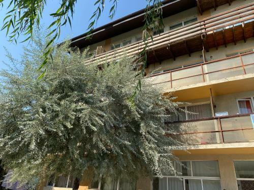 Apartamento Garsoniera Eldoris