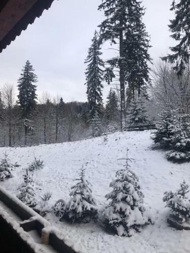 Fairytale Apartment Close To Bradu Ski Slope