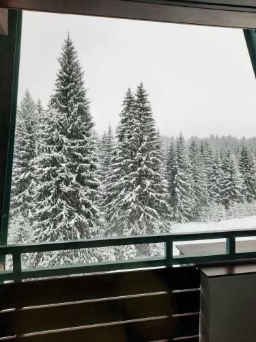 Silver Mountain Apartment 36a