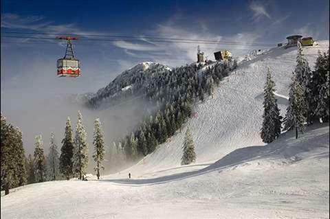 Alpin Aparthotel