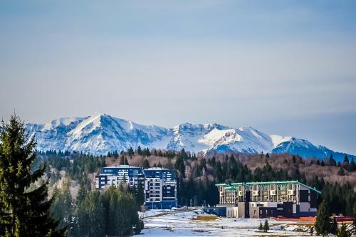 Loft Apartment Silver Mountain