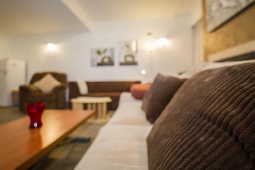 Loft Apartment Silver Mountain