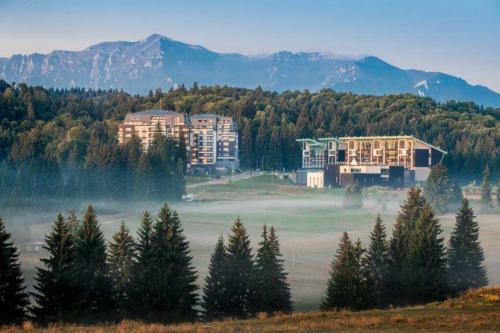 Luxury Silver Mountain Apartment