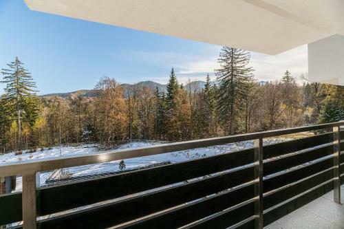 Brasov Welcome Apartments-silver Poiana Brasov