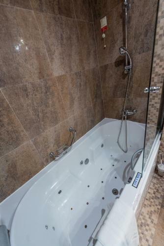 Alpin Resort Apartament Executiv