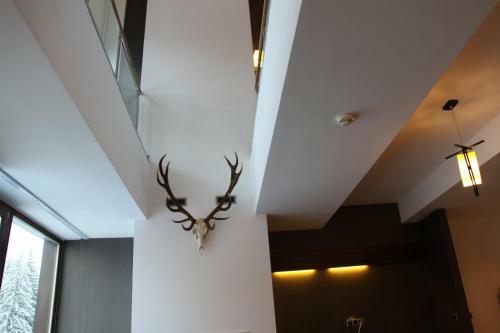 Apartamento Silver Mountain