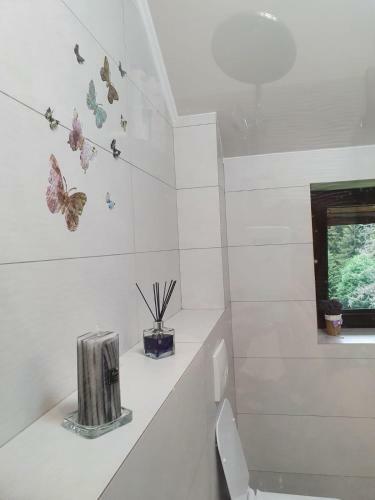 Apartament Ozon Poiana Brasov