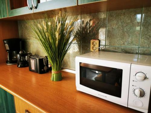 Arka Apartments
