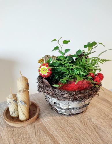 Apartamento Retro Studio By The Sea