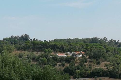 Villa F�tima-our�m - Quinta Da Luz - Breakfast Included