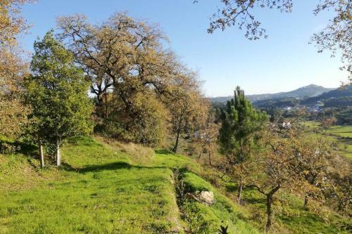 Villa F�tima-our�m - Quinta Da Luz - Breakfast Included