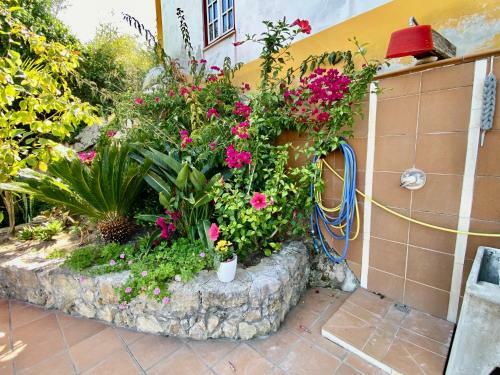 Artisan�s Guest House