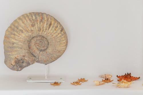 Casa Do Pescador By Ammonite&co